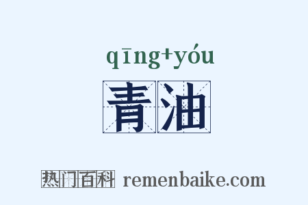 青油是什么意思的图片